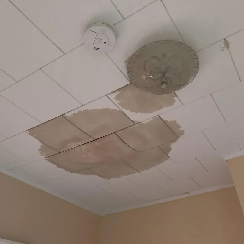 Ceiling Water Damage Repair in Marshall, TX