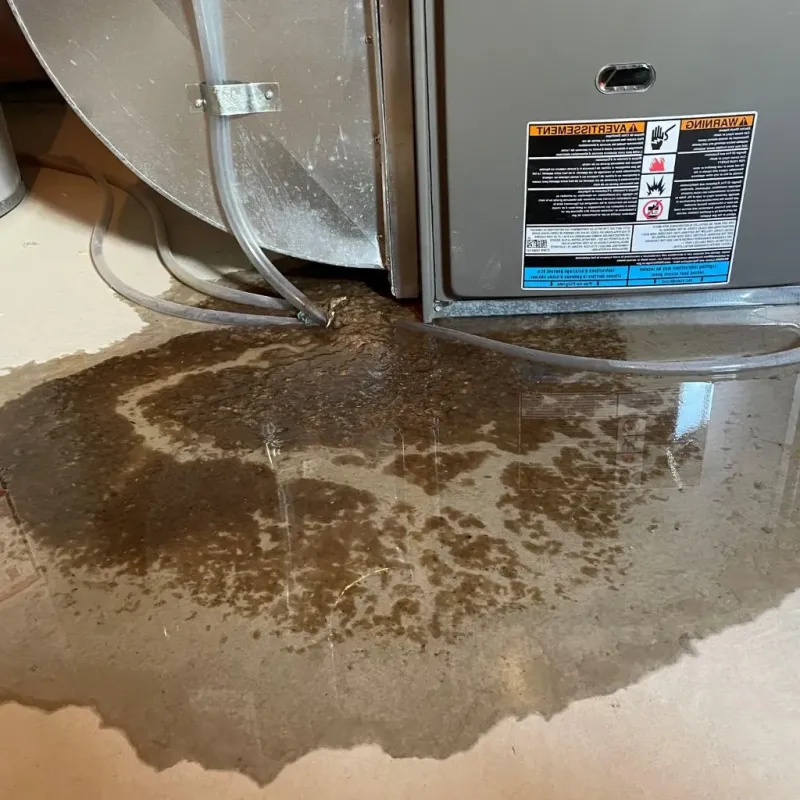 Pipe Burst and Leak Restoration in Marshall, TX